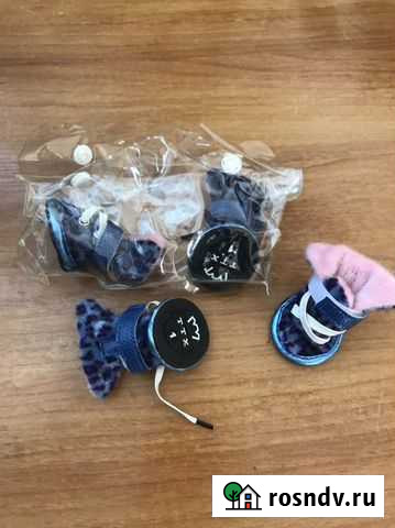 Обувь для собак Комсомольск-на-Амуре - изображение 1