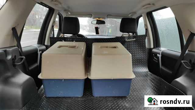 Автогамак для перевозки собак многоразовый суперпр Одинцово - изображение 1