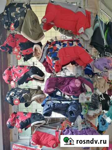 Одежда для собак и кошек Шахты - изображение 1