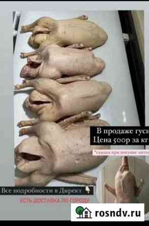 Тушка гуся, живой гусь Набережные Челны