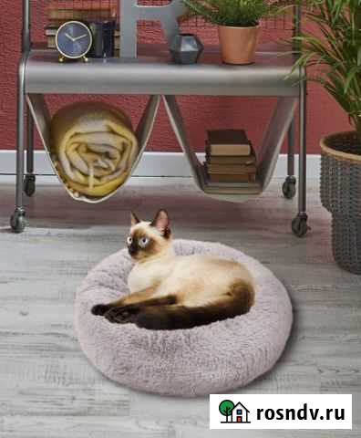 Новая лежанка-бублик для животных Севастополь - изображение 1