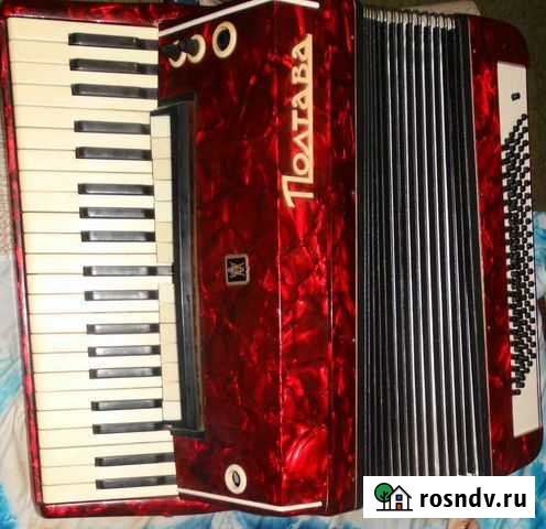 Электроаккордеон Полтава Тимашевск - изображение 1