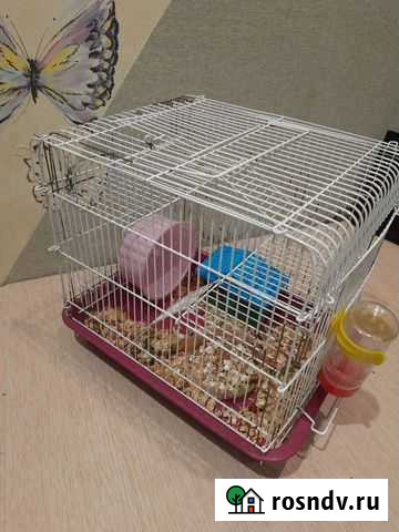 Клетка для хомяка Курск - изображение 1
