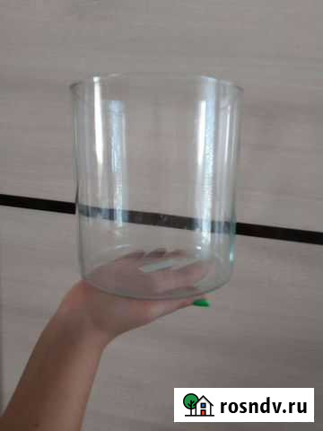 Ваза-аквариум Брюховецкая - изображение 1