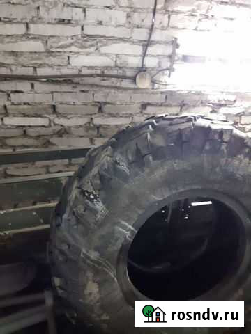 Шины Стрежевой - изображение 1