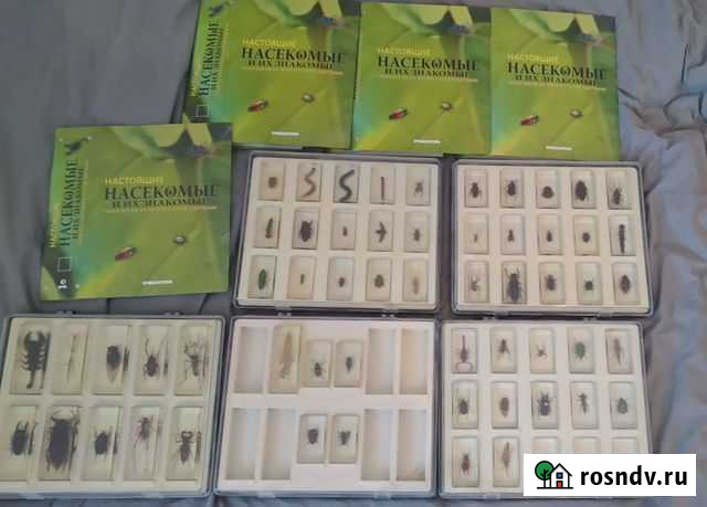 Коллекция насекомые и их знакомые Deagostini Раменское - изображение 1