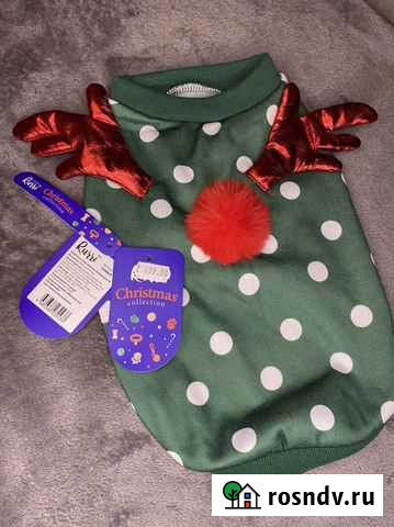 Одежда для кошек и собак Мурино - изображение 1