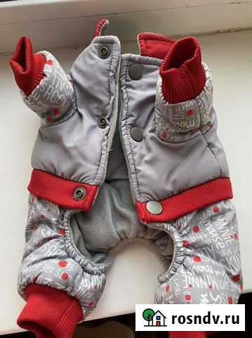 Теплый комбез для собочки Лысьва - изображение 1