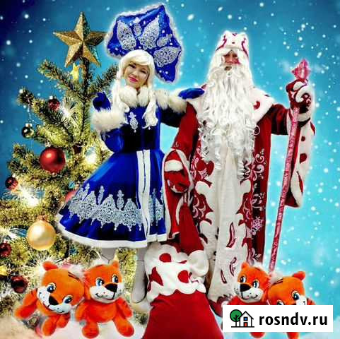 Поздравление от Деда Мороза и Снегурочки Казань - изображение 1