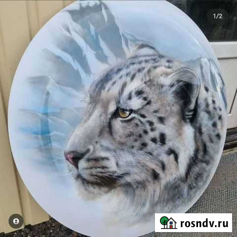 Аэрография Елизово - изображение 1