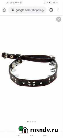 Ошейник Краснотурьинск - изображение 1