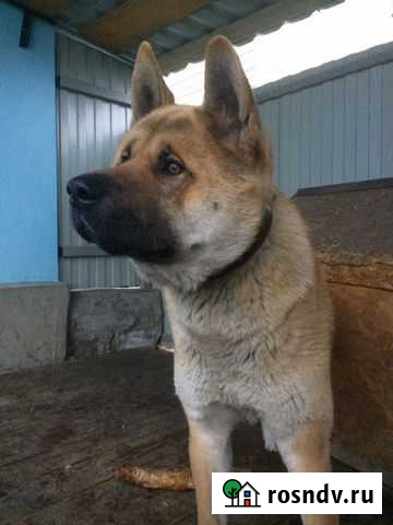 Вязка Липецк - изображение 1