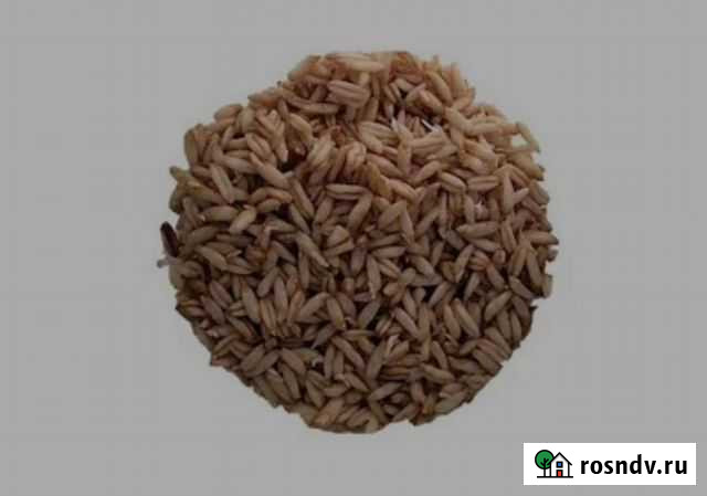 Овес Миасс - изображение 1