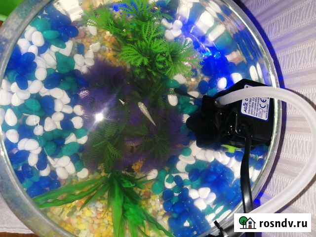 Аквариум круглый Воскресенск - изображение 1