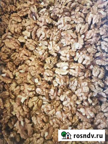 Орех грецкий Сальск - изображение 1