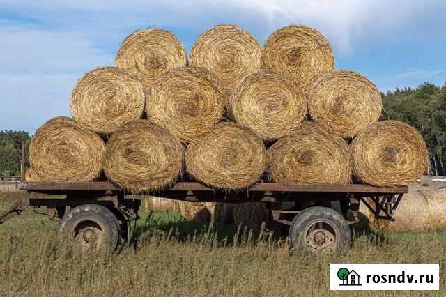 Сено в тюках Тальменка - изображение 1