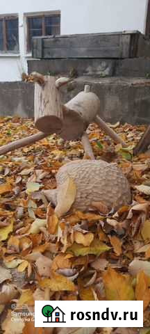 Декоративные фигуры Петрозаводск - изображение 1