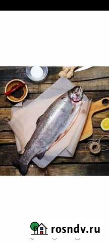 Форель охлажденная Елец - изображение 1