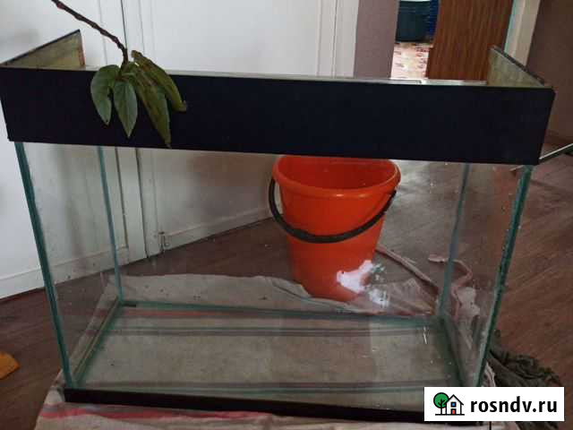 Аквариум Мыски - изображение 1