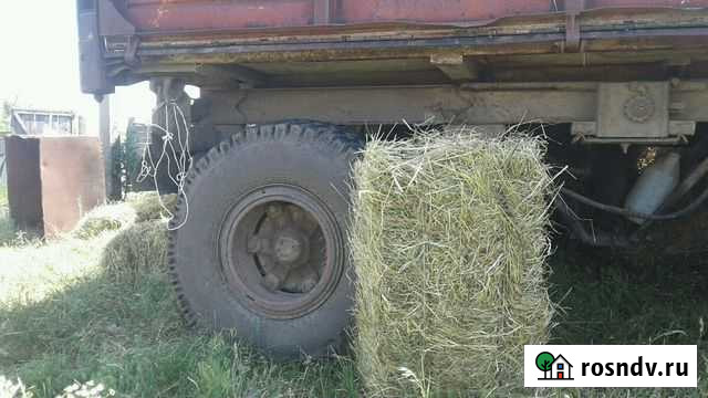 Тюки сена Майкоп - изображение 1