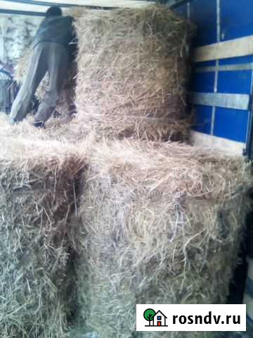 Сено Муром - изображение 1