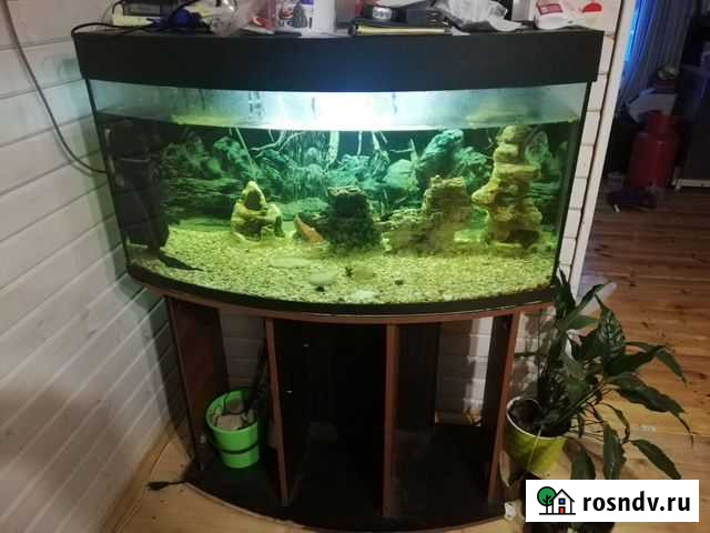 Аквариум на 180 литров Ногинск - изображение 1