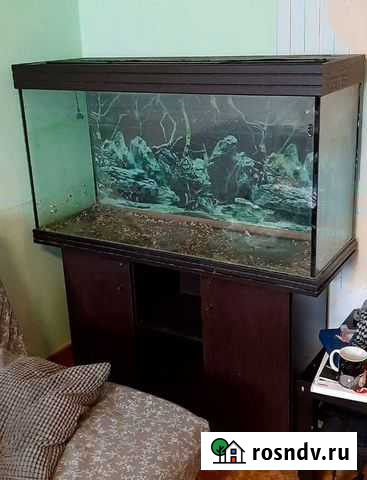 Аквариум и фильтр Красногорск - изображение 1