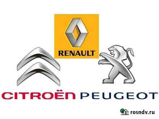 Компьютерная диагностика Renault/Citroen/Peugeot Гатчина