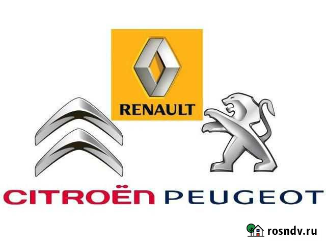Компьютерная диагностика Renault/Citroen/Peugeot Гатчина - изображение 1