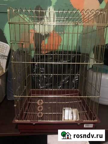 Клетка Великий Новгород - изображение 1