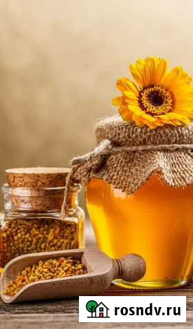 Мед Вологда - изображение 1