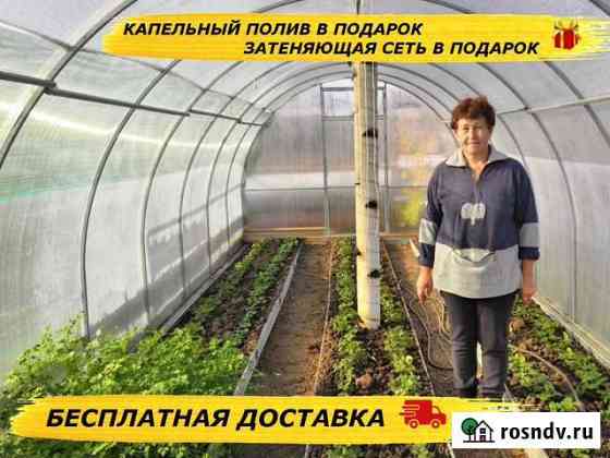 Теплица Хадыженск