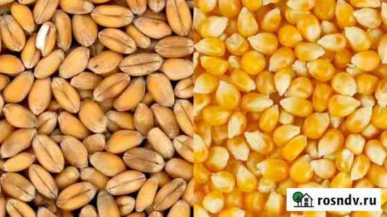 Продажа сельхоз продукции Широчанка