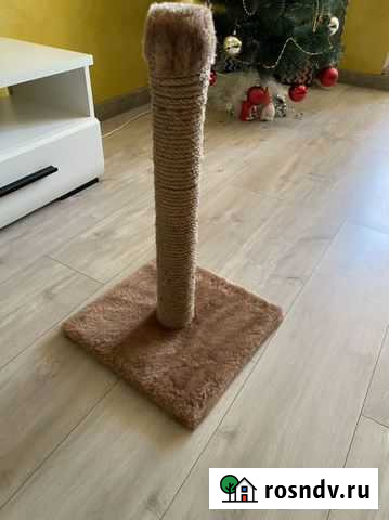 Когтеточка Тобольск - изображение 1