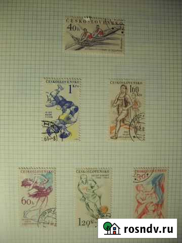 Спорт - 61г Сосногорск - изображение 1