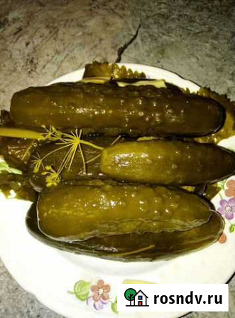 Огурцы бочковые. Соления Курск - изображение 1