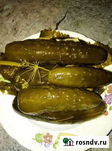 Огурцы бочковые. Соления Курск - изображение 1