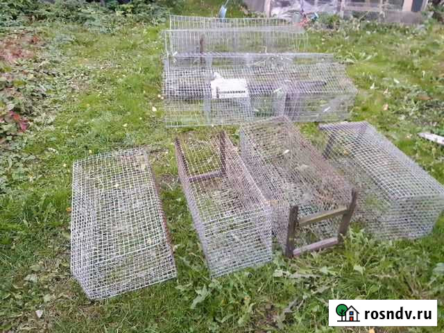 Клетка для куриц Петрозаводск - изображение 1