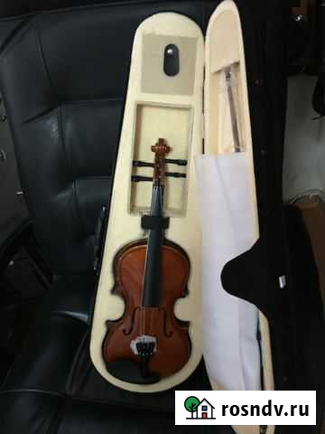 Скрипка Ростов-на-Дону - изображение 1