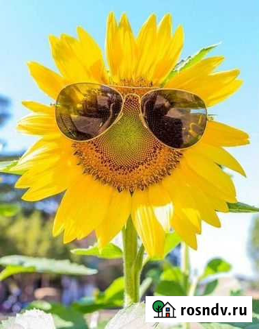 Ищу вечернюю подработку Хабаровск - изображение 1