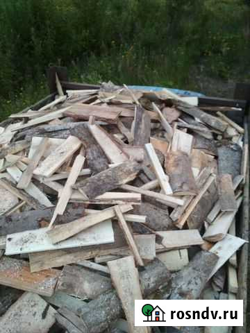 Гобыль осина Шарья - изображение 1