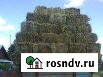 Продам сено в квадратных тюках Острогожск - изображение 1