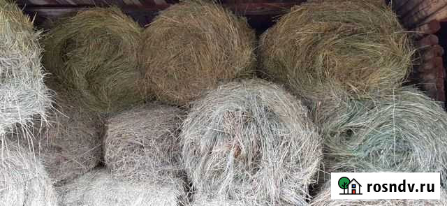Сено в рулонах Слобода - изображение 1