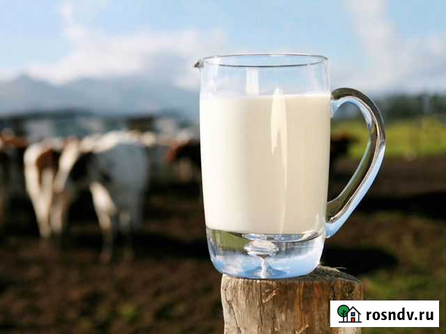 Молочные продукты Россошь - изображение 1