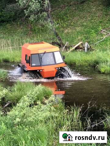 Снегоболотоход Маслянино - изображение 1