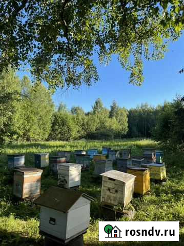 Мёд Тверь - изображение 1