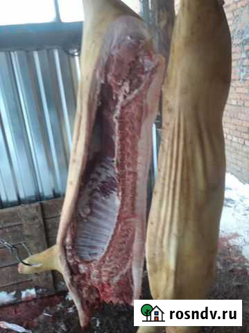 Мясо свинина домашняя Дюрок Белово - изображение 1