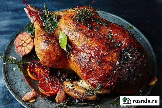 Индейка Саратов - изображение 1