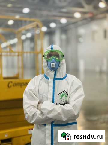 Уничтожение насекомых,клопов,тараканов Железногорск - изображение 1