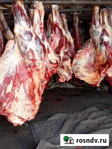 Продам свежую деревенскую говядину,свинину Чита - изображение 1